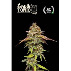 Terp & Tonic, Фасовка: 1